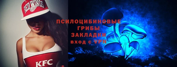 дмт Арсеньев