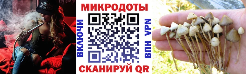 где можно купить   Богородск  Галлюциногенные грибы Psilocybine cubensis 